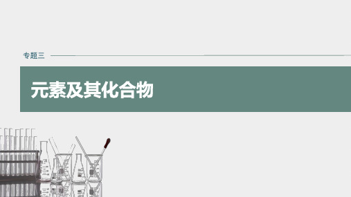 高中化学 步步高 二轮复习课件 元素及其化合物