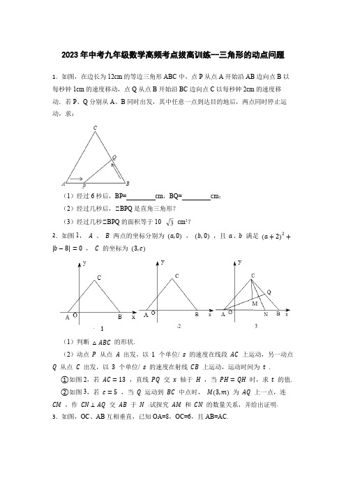 2023年中考九年级数学高频考点拔高训练--三角形的动点问题(含解析)