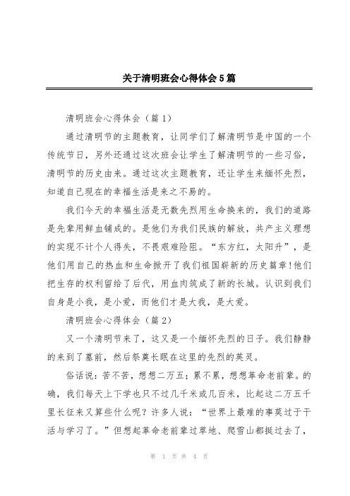 关于清明班会心得体会5篇