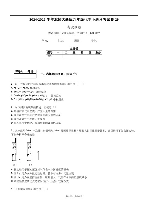 2024-2025学年北师大新版九年级化学下册月考试卷29