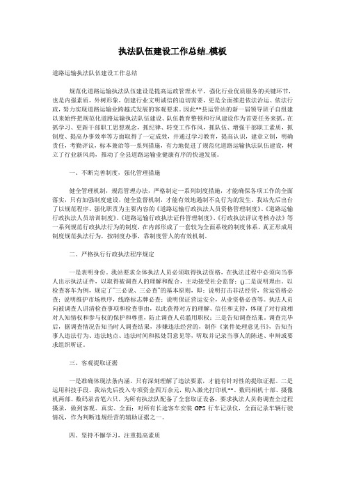 执法队伍建设工作总结_模板