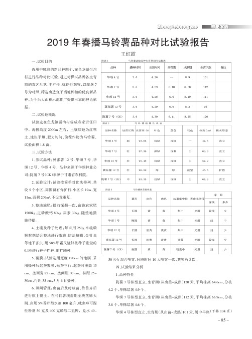 2019年春播马铃薯品种对比试验报告