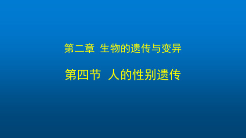 八年级下册初二生物(人教版)第二章  生物的遗传和变异 2.4人的性别遗传