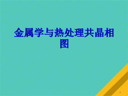 金属学与热处理共晶相图(共51张PPT)