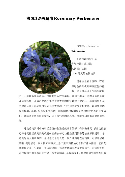 法国迷迭香精油Rosemary Verbenone