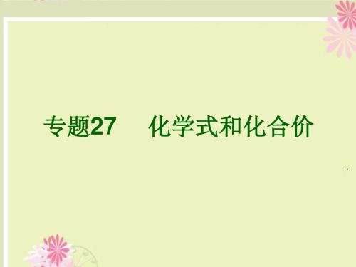 浙江省2013年初中科学毕业生学业考试复习 专题27 化学式和化合价课件