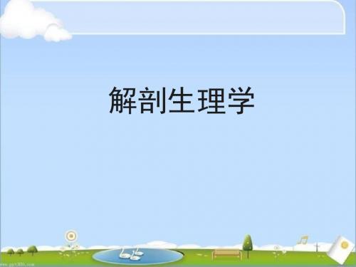 《解剖生理学》绪论 ppt课件