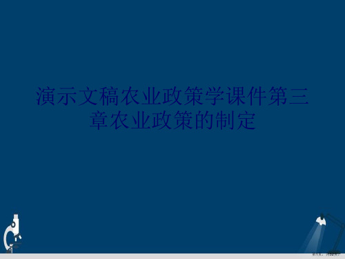 演示文稿农业政策学课件第三章农业政策的制定