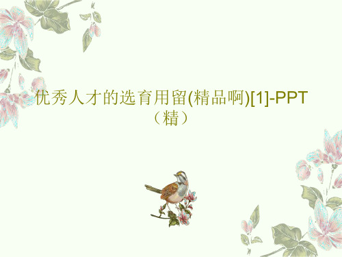 优秀人才的选育用留(精品啊)[1]-PPT(精)PPT文档74页