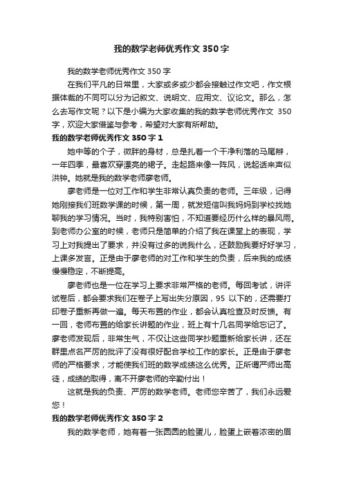 我的数学老师优秀作文350字