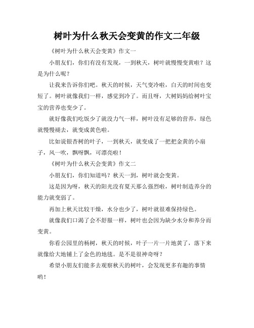 树叶为什么秋天会变黄的作文二年级