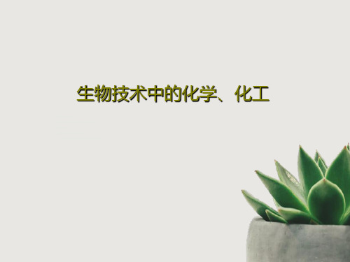 生物技术中的化学、化工40页PPT