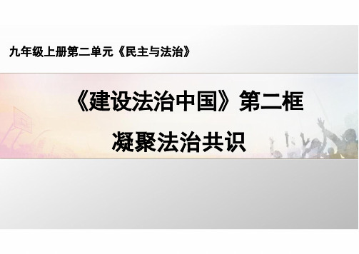 人教版道德与法治九年级上册-4.2凝聚法治共识