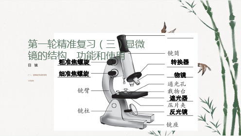 2024年初中生物中考一轮精准复习(三)显微镜的结构、功能和使用