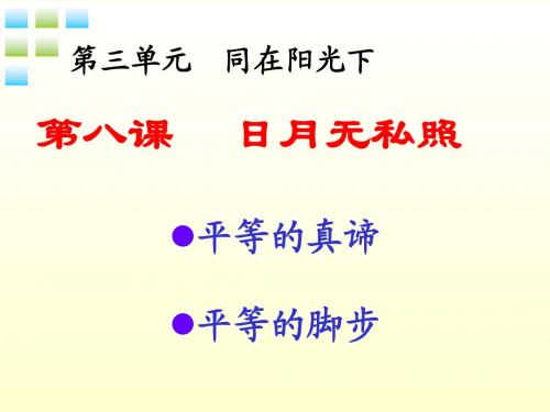 九年级政治 第八课共享阳光课件 教科版