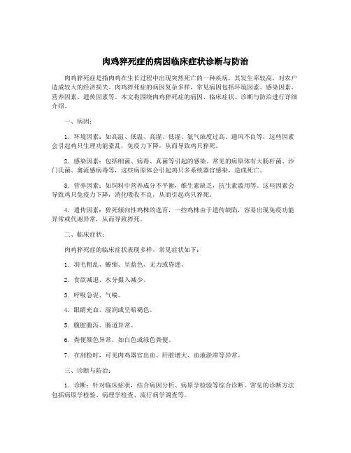 肉鸡猝死症的病因临床症状诊断与防治