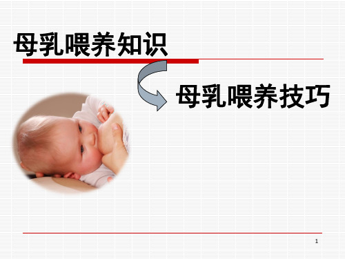 母乳喂养培训ppt课件