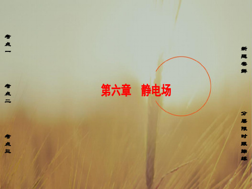 非常考案2018版高考物理一轮复习课件:第六章 静电场 第1课时