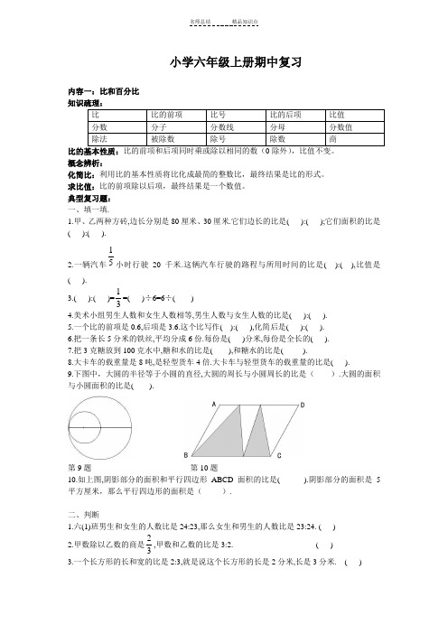 浙教版六年级上册数学期中综合复习(知识点+分类练习)