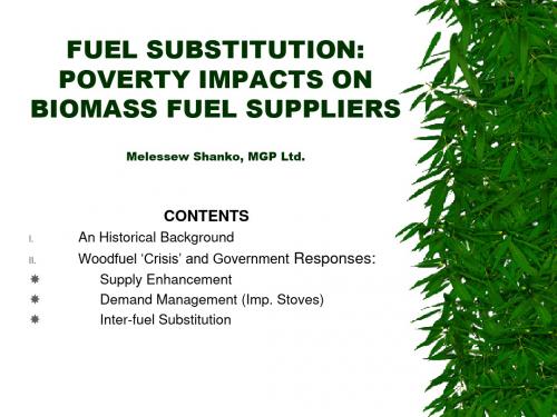 FUEL SUBSTITUTION POVERTY IMPACTS ON BIOMASS 贫困的影响对生物质燃料替代