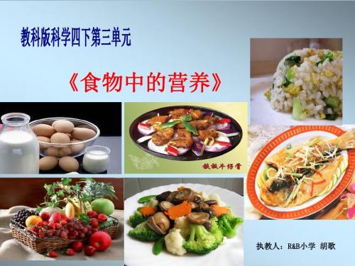 食物中的营养 ppt课件