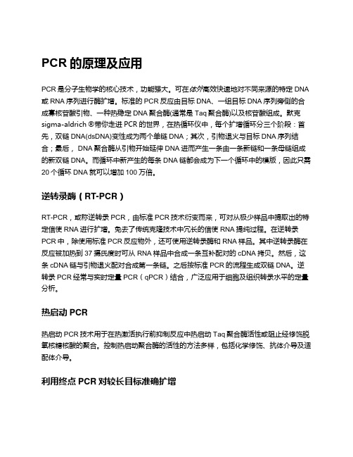 PCR的原理及应用