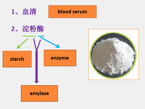 医学汉语课件第一册第五课急性胰腺炎