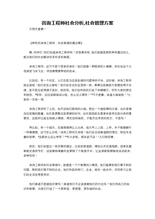 咨询工程师社会分析,社会管理方案