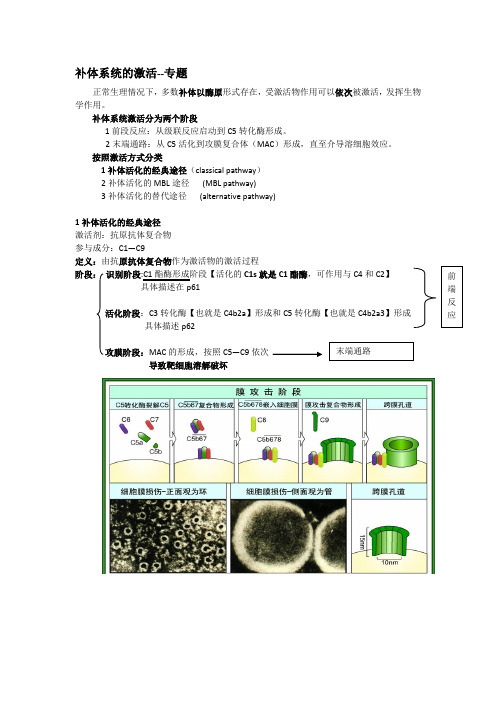 补体系统的激活与效应整理