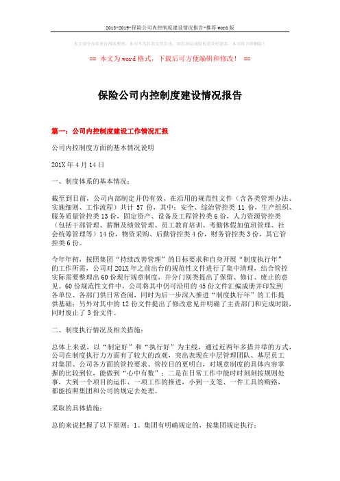 2018-2019-保险公司内控制度建设情况报告-推荐word版 (13页)