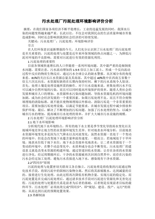 污水处理厂污泥处理环境影响评价分析