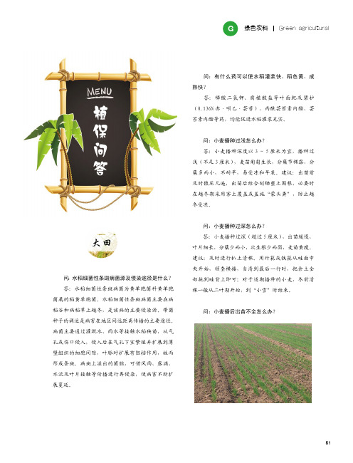 植保问答