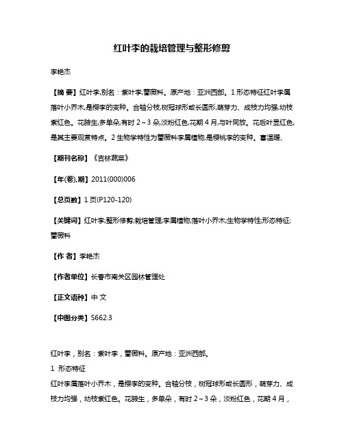 红叶李的栽培管理与整形修剪