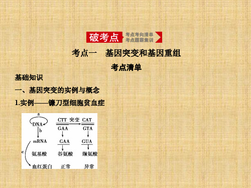 2020年高考北京版高考生物 专题14 变异和育种