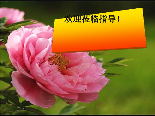 人教部编版《三峡》优秀课件1