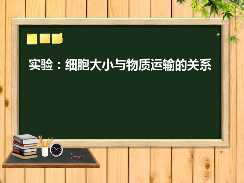 人教版高一生物必修一第六章《实验-细胞大小与物质运输的关系》-ppt精品课件