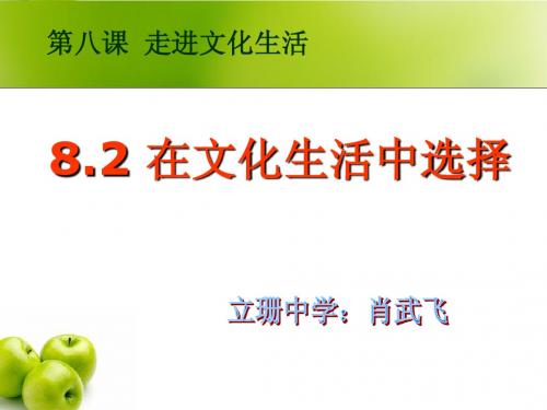 政治：4.8.2《在文化生活中选择》课件(4)(新人教版必修3)