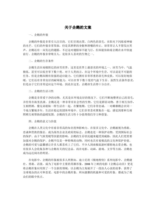 关于企鹅的文案