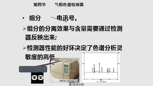 现代仪器分析GC检测器BPPT课件