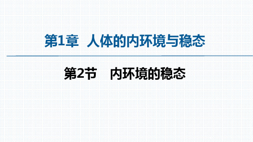 【课件】内环境的稳态  课件  2022——2023学年高二上学期生物人教版选择性必修1