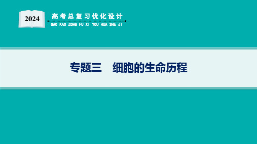 高考总复习优化设计二轮用书生物学(适用于新高考新教材)专题3 细胞的生命历程