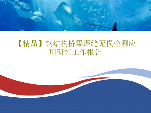 【精品】钢结构桥梁焊缝无损检测应用研究工作报告共15页文档