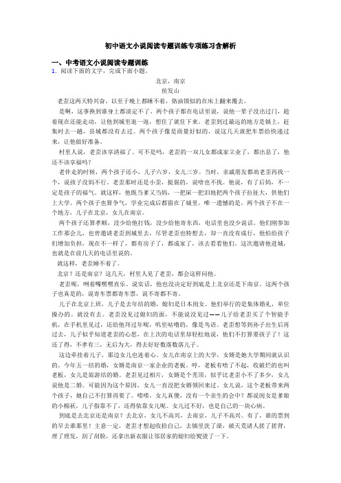 初中语文小说阅读专题训练专项练习含解析