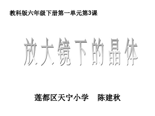 六年级下册科学课件      放大镜下的晶体    教科版