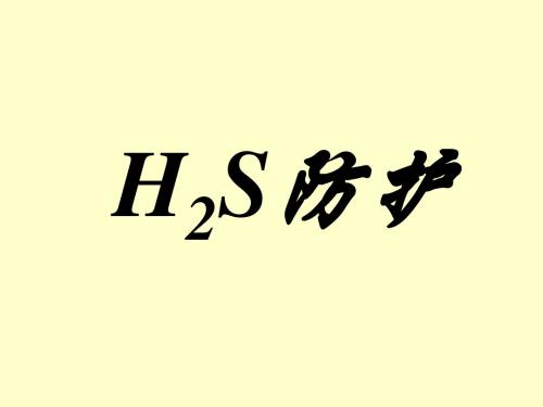 H2S防护事故案列