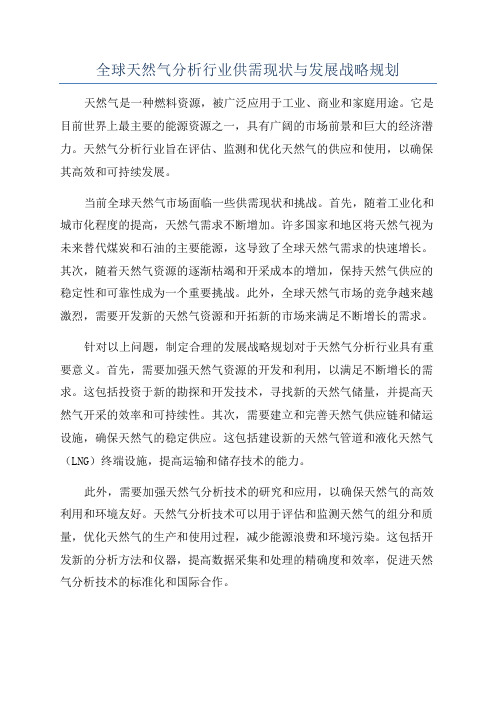 全球天然气分析行业供需现状与发展战略规划