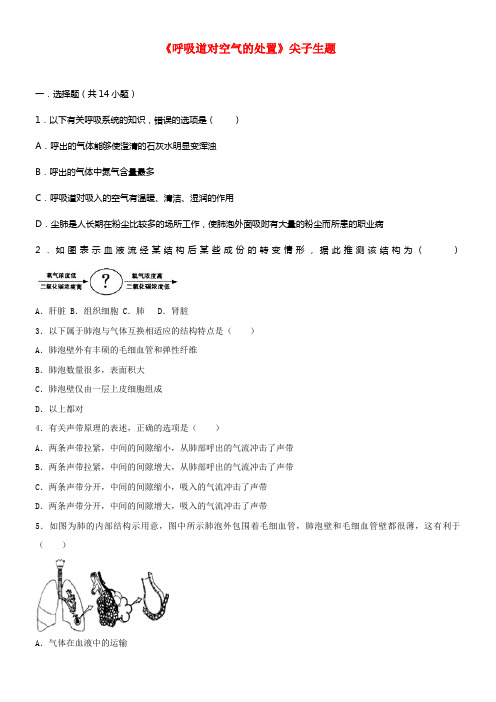 七年级生物下册第四单元第三章第一节呼吸道对空气的处置尖子生题新版新人教版