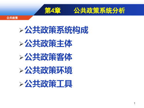 4 公共政策系统分析