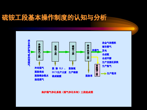 硫铵工段基本操作制度的认知与分析：硫铵工段的原料与产品