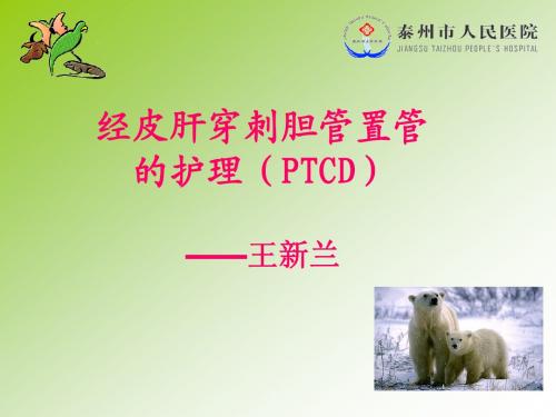 经皮肝穿刺胆管置管引流(PTCD)的护理